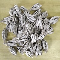 Small/Medium White Sage Clusters - 70 grams