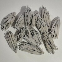 Medium / Large White Sage Clusters - 50 grams