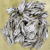Medium/Large White Sage Clusters - 100 grams