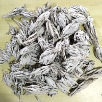 Small/Medium White Sage Clusters - 150 grams