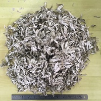 Prairie Sage - 100 grams