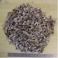 Prairie Sage, Mugwort & Patchouli - 100 grams