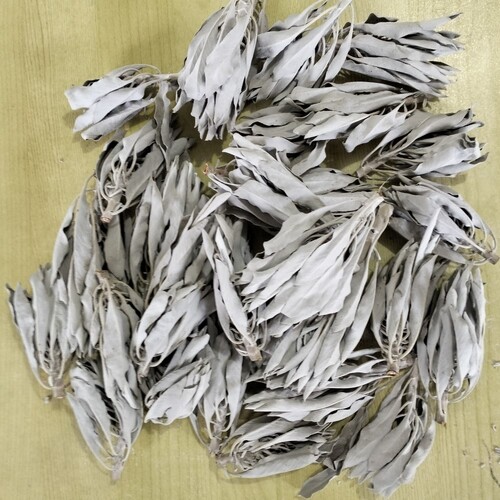 Medium/Large White Sage Clusters - 100 grams