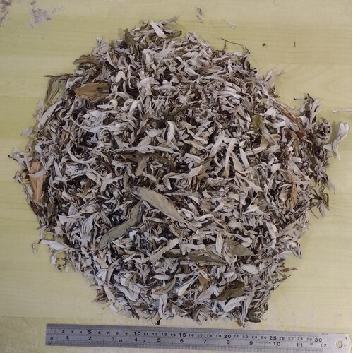 Prairie Sage, Mugwort & Patchouli - 100 grams